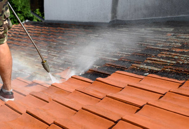 Best Best Pressure Washing Companies  in River Edge, NJ