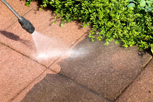 Best Affordable Power Washing  in River Edge, NJ